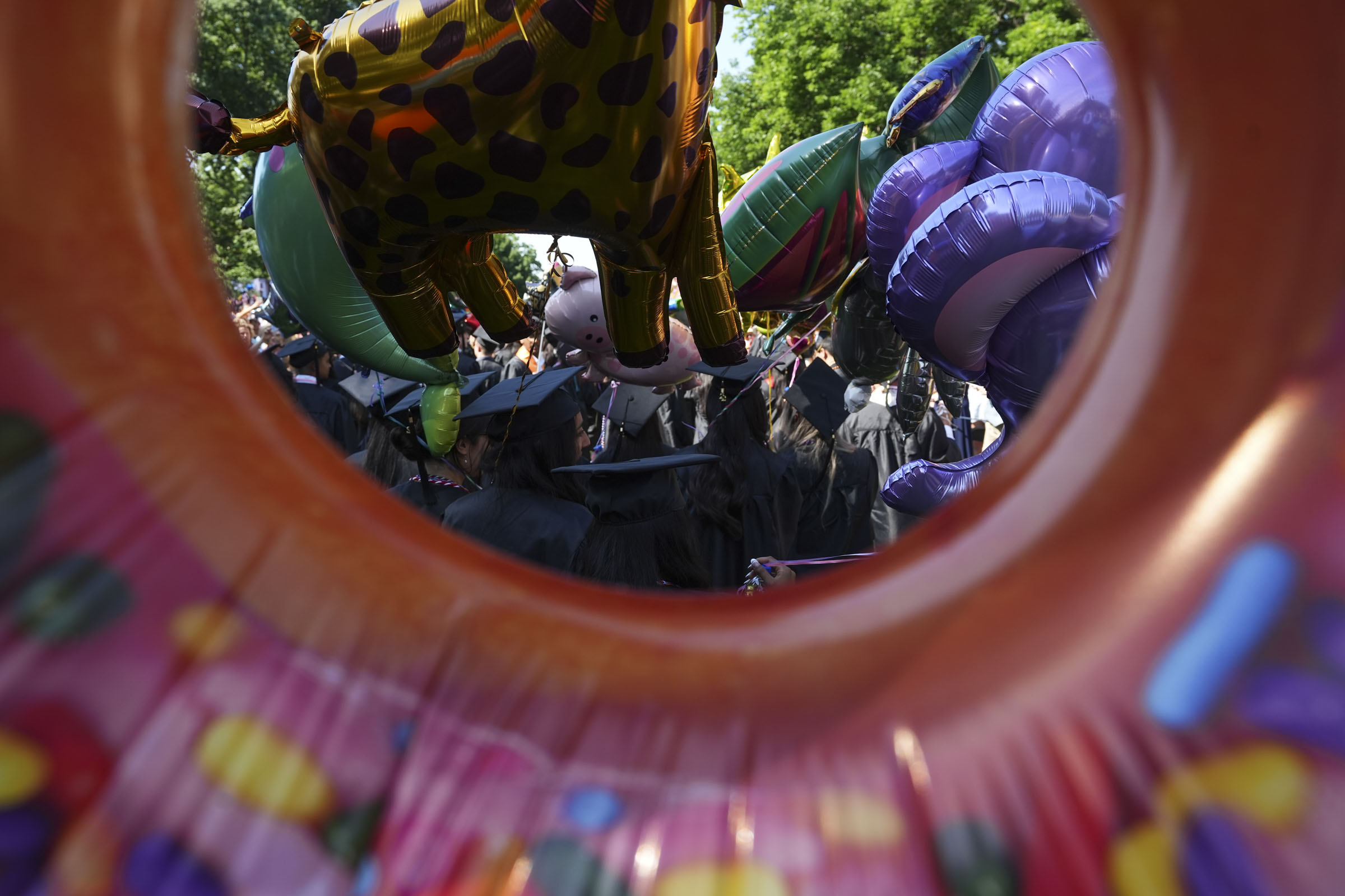 Mylar balloons in the shape of animals and cartoon characters float behind students heading to Final Exercises.
